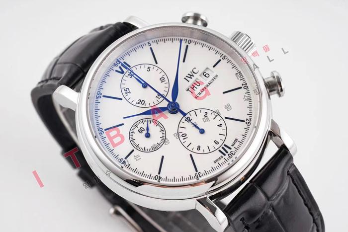 IWC ƽ         17110