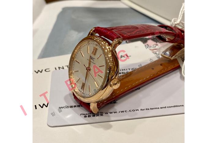 IWC ƽ  W19543  ()